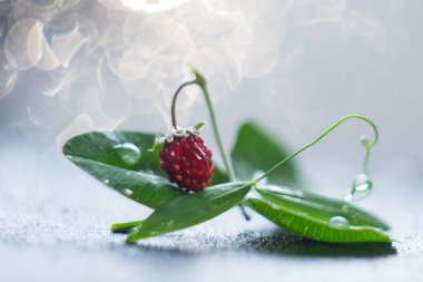 Çilekler masanın üstünde. Arka planda nazik bir bokeh var. Yüksek kalite fotoğraf