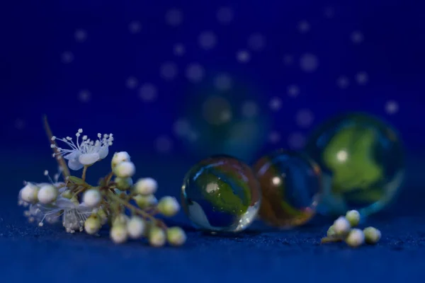 Boule de verre avec des fleurs sur un fond sombre. Macrophotographie — Photo