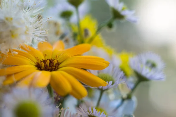 Yellow Flower Bouquet Wild Flowers High Quality Photo — Stock Photo, Image