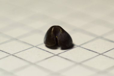 Böbrek taşı oksalatı. Boyutu 4.7 mm. Taş bileşimi wevellite ve weddellite 'dir.. 