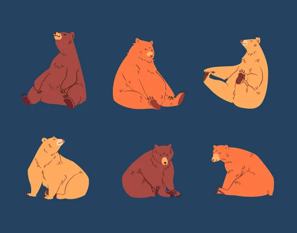 Seis Ursos Relaxantes Bonitos Fundo Azul Diferentes Tons Urso Marrom —  Vetores de Stock