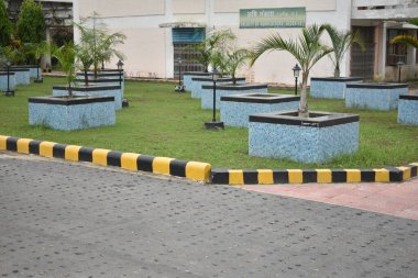 Bahçede bir sırada büyüyen bitkiler