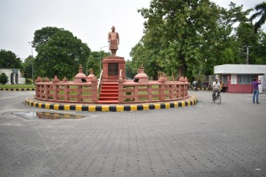 Bahçede bir sırada büyüyen bitkiler