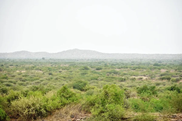 Dholavira Jest Stanowiskiem Archeologicznym Khadirbet Bhachau Taluka Dystrykcie Kutch Stanie Zdjęcia Stockowe bez tantiem