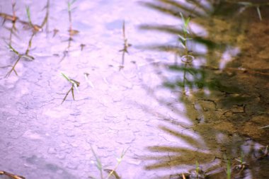 Şiddetli selin yol açtığı yıkım 