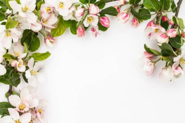 Beyaz arka planda armut çiçeği çerçevesi. Tebrik kartı