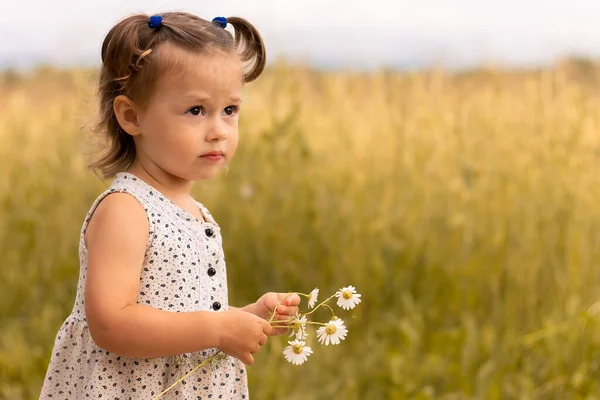 Little Cute Girl Light Dress Stands Field Spikelets Rye Bouquet — Stock Photo, Image