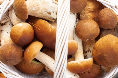 Boletus mantarlı beyaz hasır sepet. Üst görünüm