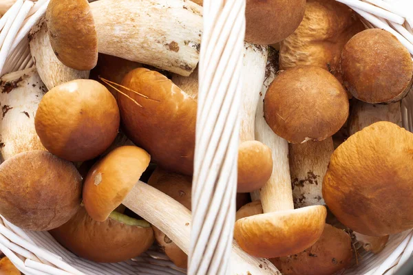 Boletus mantarlı beyaz hasır sepet. Üst görünüm