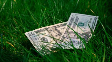Yeşil çimlerin üzerinde iki tane 20 dolarlık banknot var. Para, yerde yatıyor..