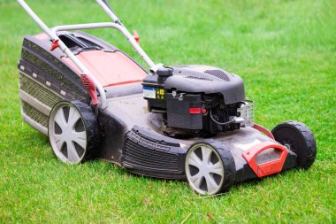Benzin çim biçme makinesi siyah ve kırmızı, yeşil çimlerin üzerinde duruyor.