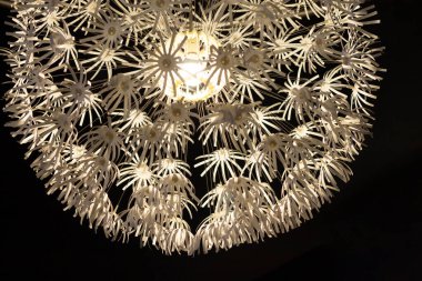 Tavan kolyesi beyaz lamba, büyük bir karahindiba gibi görünüyor.