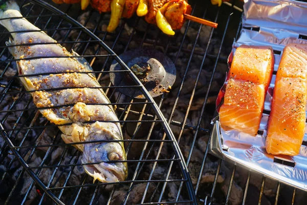 Fisk Lax Och Kyckling Skewer Grillen — Stockfoto