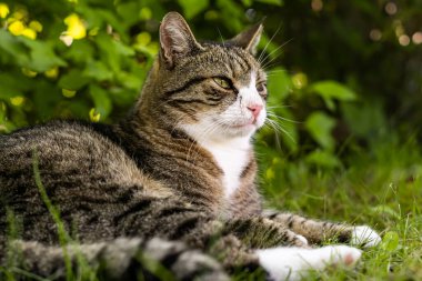 Şirket binasının cam çatısı.