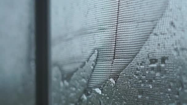 Inconsútil Lazo Gotas Lluvia Siguen Cayendo Una Ventana — Vídeos de Stock