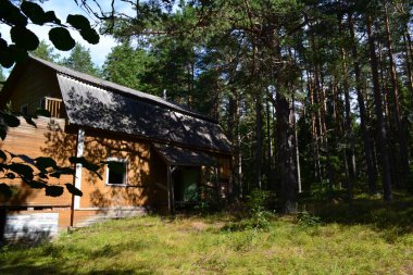 Kuzey çam ormanlarında eski bir ev Ağustosta bir yaz günü