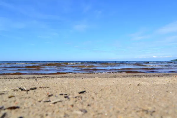 Orilla Arenosa Del Lago Del Norte Día Soleado — Foto de Stock