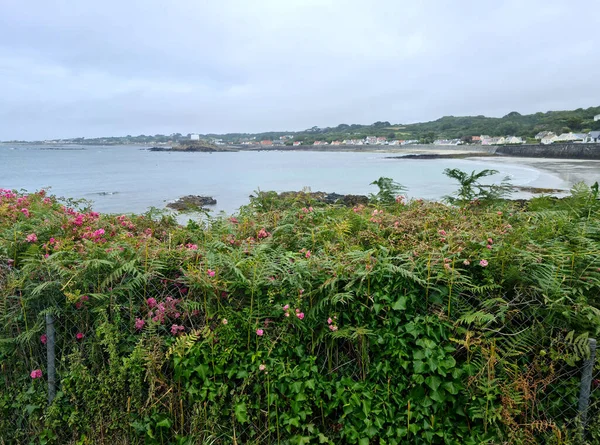 Fort Grey Copa Platillo Rocquaine Bay Torteval Islas Del Canal — Foto de Stock