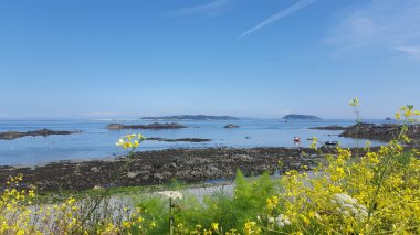 Herm, Jethee, Sark, Guernsey Kanal Adaları