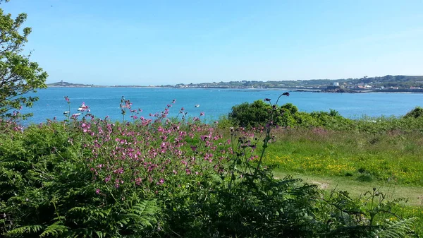 Fort Grey Tasse Und Untertasse Portelet Headland Westküstenstrand Kanalinseln Guernsey — Stockfoto