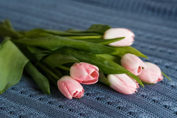 Gyönyörű rózsaszín tulipán csokor — Stock Fotó