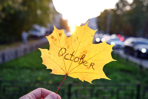 Beautiful Autumn Yellow Maple Leaf Hand Front Street — Stock Photo, Image