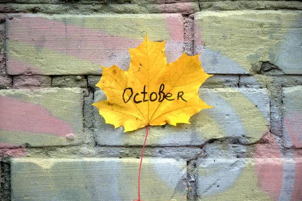 Hermosa Hoja Arce Amarillo Otoño Mano Delante Pared Ladrillo — Foto de Stock