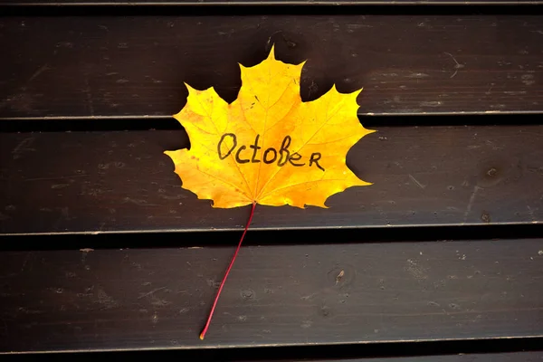 Schönes Herbstgelbes Ahornblatt Auf Der Braunen Holzbank — Stockfoto