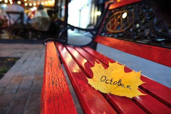 Beautiful Autumn Yellow Maple Leaf Red Wooden Bench Front Street — Stock Photo, Image