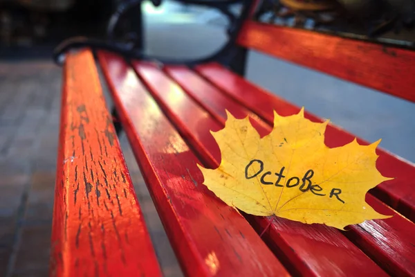 Beautiful Autumn Yellow Maple Leaf Red Wooden Bench Front Street — Stock Photo, Image