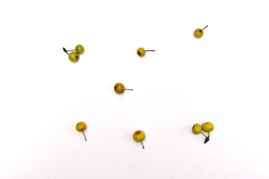 Sonbahar beyaz arkaplanda renkli küçük elmalar