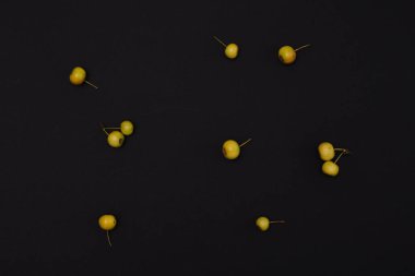 Sonbahar siyah arkaplanda renkli küçük elmalar