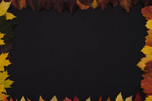 Ősz színes juhar levelek fekete háttér — Stock Fotó