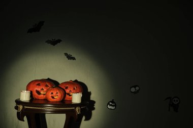 Arkadaki tahta taburede renkli balkabakları var.