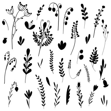 Beyaz arka planda siyah 38 botanik elementten oluşan el yapımı bir set. Tekstil, hatıra defteri, kartlar, posterler, ambalaj kağıtları veya düğün davetiyeleri için mükemmel.. 