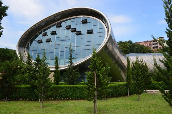 Tiflis Capital Georgia Moderno Teatro Metal Vidrio Rike Park Junio — Foto de Stock