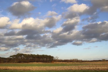 Langdorp 'taki Demer nehrinin yakınındaki manzara. Flanders 'da küçük bir köy. Belçika. Kışın gökyüzü ve tarla