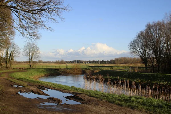 Пейзаж Біля Річки Демер Лангдорпі Маленьке Село Фландрії Бельгія Взимку — стокове фото