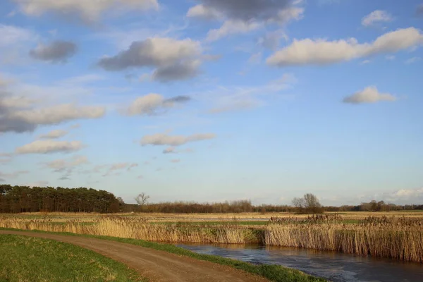 Paysage Près Rivière Demer Langdorp Petit Village Rural Flandre Belgique — Photo