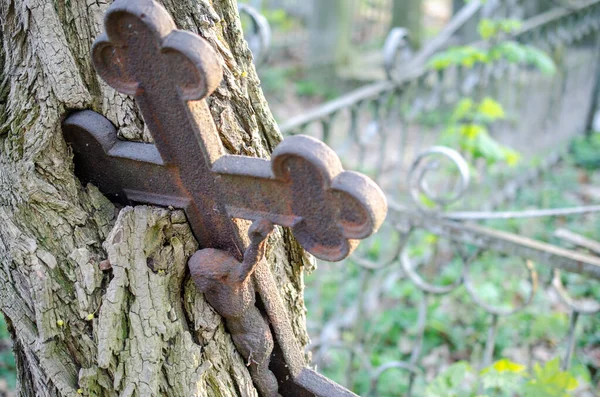 La croix chrétienne du tombeau est enracinée dans un arbre. — Photo