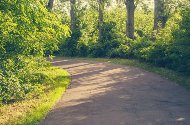 Yeşil ağaçların arasında keskin bir dönüş.