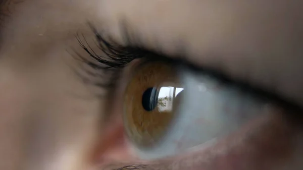 eye of a woman side view, reflection of a window, brown eyes, macro shoot