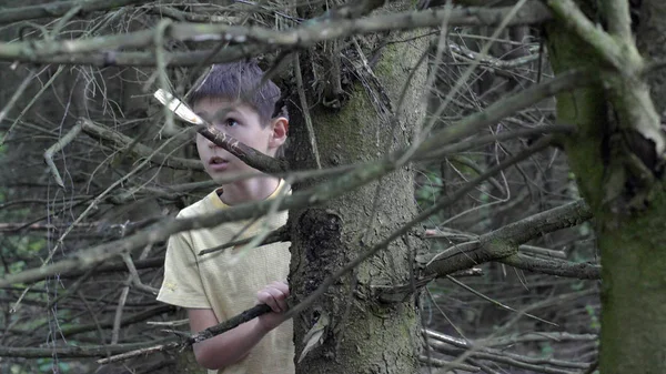 frightened boy walks through a terrible dry forest in the evening