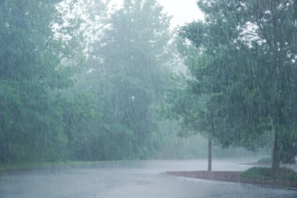 Yazın sağanak yağmur altında park yeri