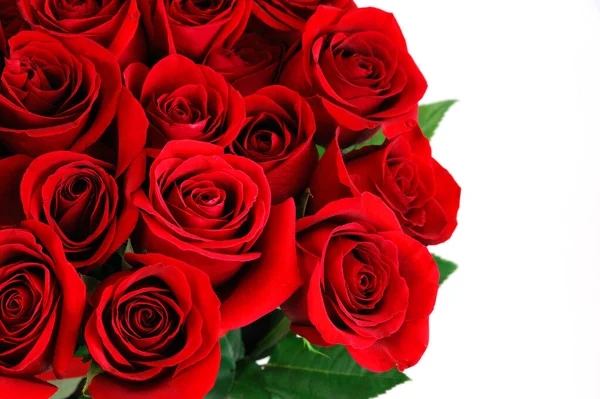 22,709 Roses Happy Birthday Stock Photos - Free & Royalty-Free