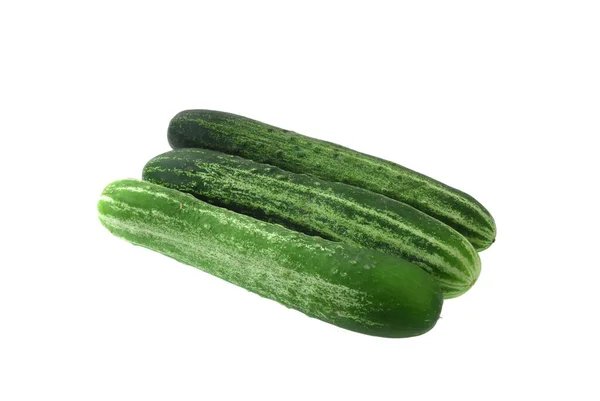 Fresh Cucumber Isolated White Background — Stock Photo, Image