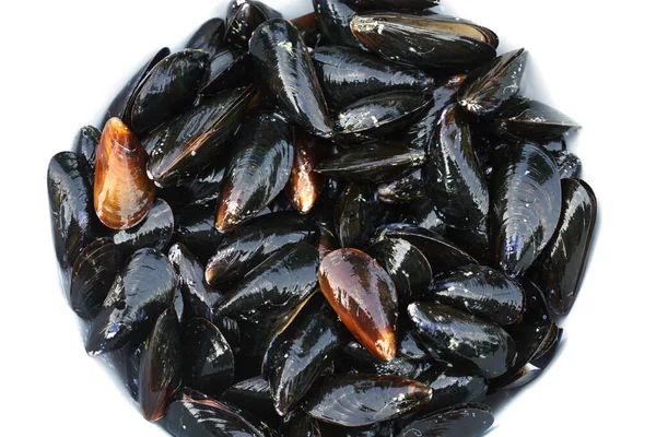    Taze çiğ midye deniz ürünleri arka planında.                            