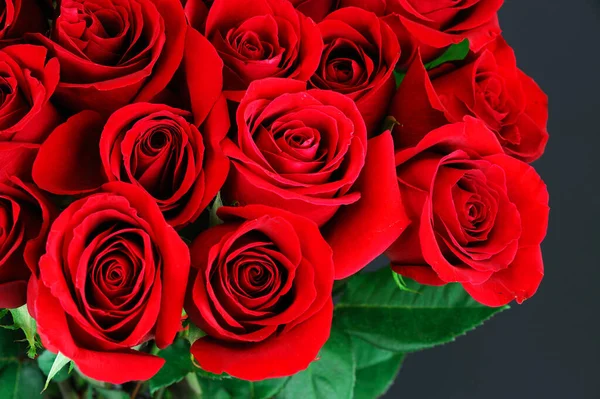 Taze kırmızı güller çiçek arkaplanı 