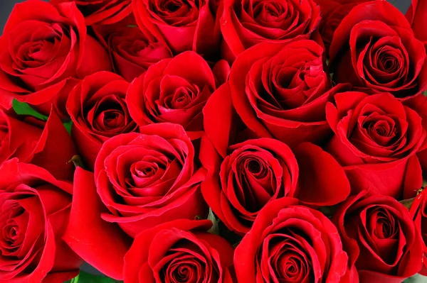 Świeże Czerwone Róże Bukiecie Jako Tło — Zdjęcie stockowe