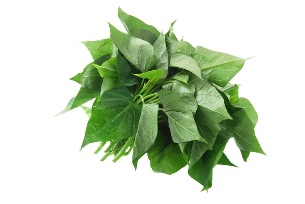 Bir demet tatlı patates yaprağına yakın.